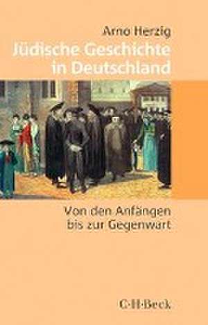 Jüdische Geschichte in Deutschland de Arno Herzig