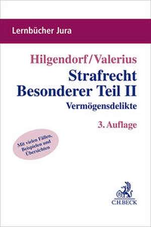 Strafrecht Besonderer Teil II de Eric Hilgendorf