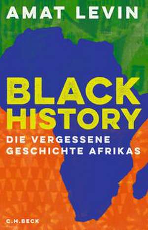 Black History de Amat Levin