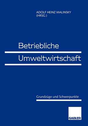 Betriebliche Umweltwirtschaft: Grundzüge und Schwerpunkte de Adolf Heinz Malinsky