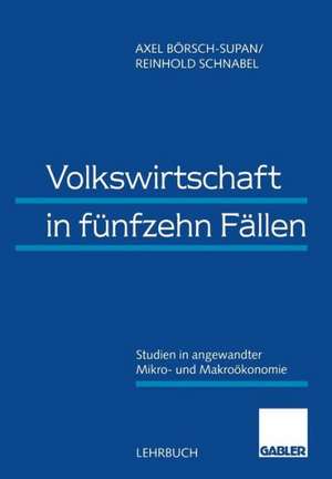 Volkswirtschaft in fünfzehn Fällen: Studien in angewandter Mikro- und Makroökonomie de Axel Börsch-Supan