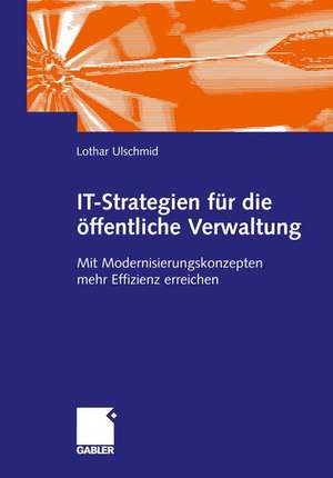 IT-Strategien für die öffentliche Verwaltung: Mit Modernisierungskonzepten mehr Effizienz erreichen de Lothar Ulschmid