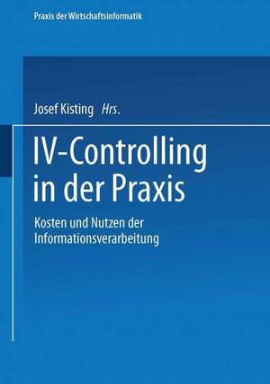 IV-Controlling in der Praxis: Kosten und Nutzen der Informationsverarbeitung de Josef Kisting