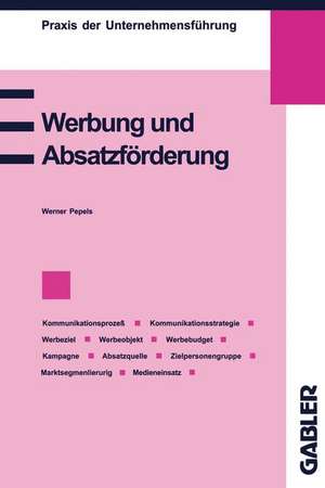 Werbung und Absatzförderung: Kommunikation, Werbeziel, Werbeobjekt, Werbebudget, Absatzquelle, Zielpersonengruppe, Kampagne, Marktsegmentierung, Werbemedien, Werbeeffizienz de Werner Pepels