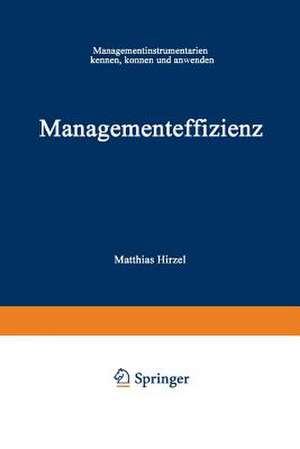 Managementeffizienz: Managementinstrumentarium kennen, können und anwenden de Matthias Hirzel