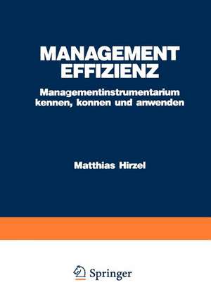Management Effizienz: Managementinstrumentarium kennen, können und anwenden de Matthias Hirzel