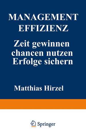 Management Effizienz: Zeit gewinnen Chancen nutzen Erfolge sichern de Matthias Hirzel