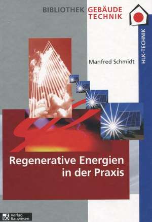 Regenerative Energien in der Praxis de Manfred Schmidt