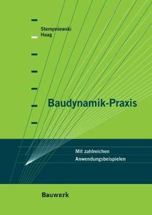 Baudynamik-Praxis de Lothar Stempniewski