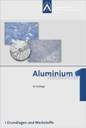 Aluminium Taschenbuch de Catrin Kammer