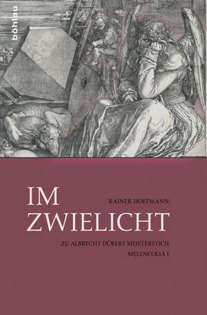 Im Zwielicht de Rainer Hoffmann