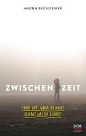 Zwischenzeit de Martin Buchsteiner