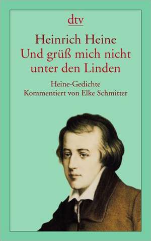 Und grüß mich nicht unter den Linden de Elke Schmitter