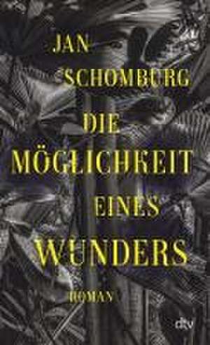 Die Möglichkeit eines Wunders de Jan Schomburg