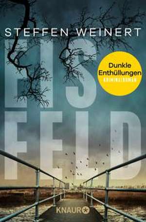 Eisfeld - Dunkle Enthüllungen de Steffen Weinert