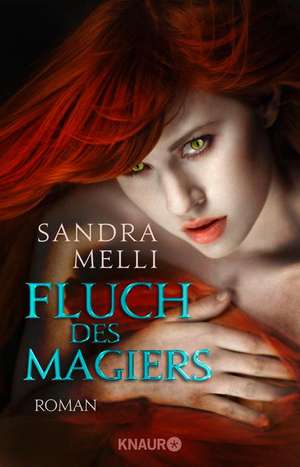 Fluch des Magiers de Sandra Melli