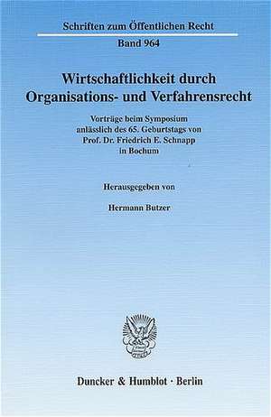 Wirtschaftlichkeit durch Organisations- und Verfahrensrecht de Hermann Butzer