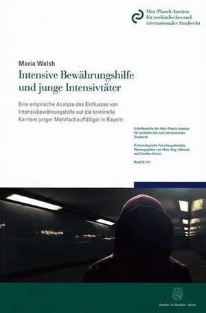 Intensive Bewährungshilfe und junge Intensivtäter. de Maria Walsh