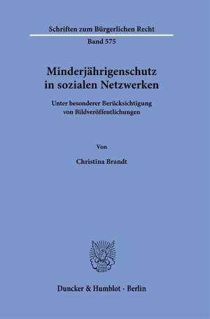 Minderjährigenschutz in sozialen Netzwerken de Christina Brandt