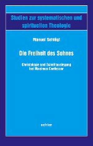 Die Freiheit des Sohnes de Manuel Schlögl