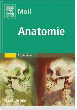 Anatomie de Karl-Josef Moll