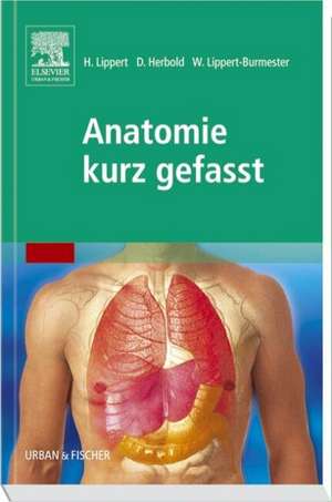 Anatomie kurz gefasst de Herbert Lippert