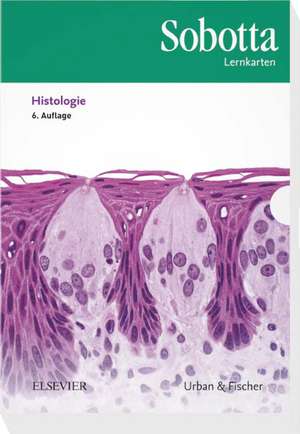 Sobotta Lernkarten Histologie de Lars Bräuer