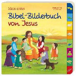 Mein erstes Bibel-Bilderbuch von Jesus de Astrid Krömer