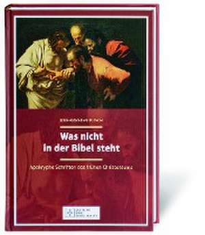 Was nicht in der Bibel steht de Uwe-Karsten Plisch