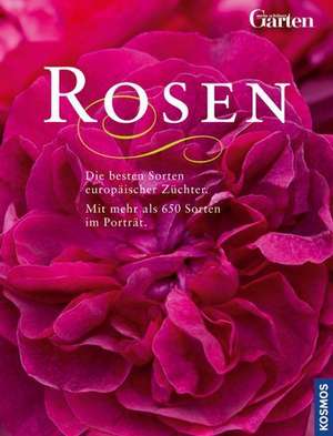 Rosen de Angelika Throll