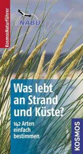 Was lebt an Strand und Küste? de Ute Wilhelmsen