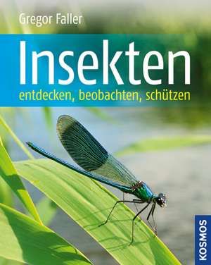 Insekten entdecken, beobachten, schützen de Gregor Faller