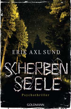 Scherbenseele de Erik Axl Sund