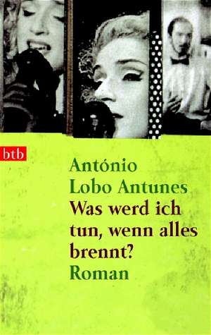 Was werd ich tun, wenn alles brennt? de António Lobo Antunes