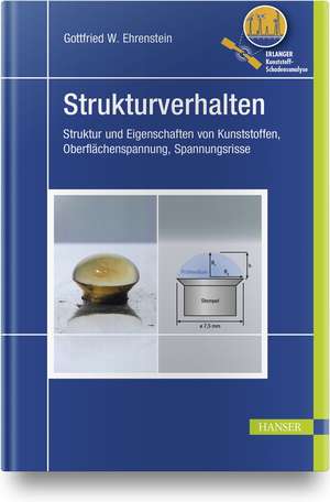 Strukturverhalten de Gottfried Wilhelm Ehrenstein