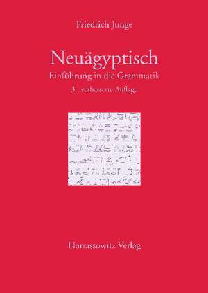 Einfuhrung in Die Grammatik Des Neuagyptischen: A Treatise on the Concept of Love in Classical and Medieval Arabic Heritage de Friedrich Junge