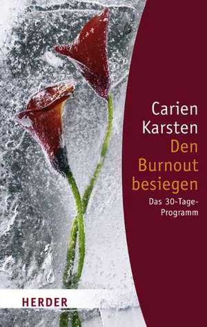 Den Burnout besiegen de Carien Karsten