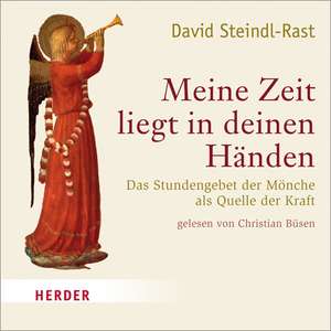 Meine Zeit liegt in deinen Händen de David Steindl-Rast