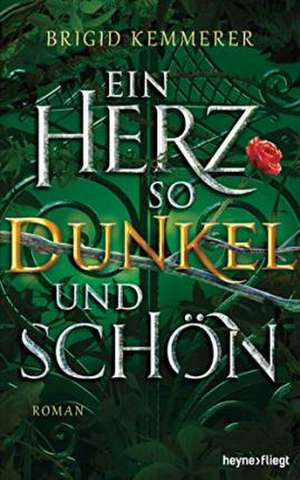 Ein Herz so dunkel und schön de Brigid Kemmerer