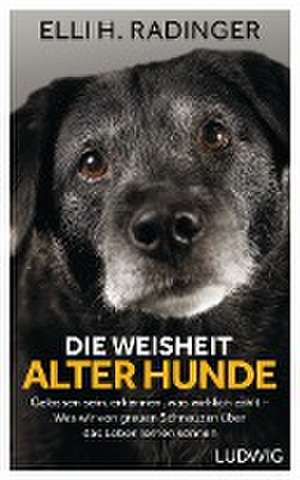 Die Weisheit alter Hunde de Elli H. Radinger