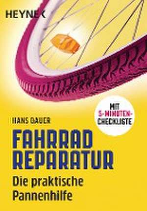 Fahrradreparatur de Hans Bauer