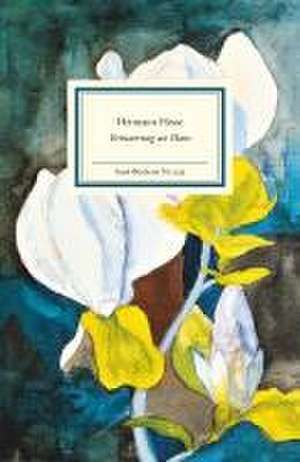 Erinnerung an Hans de Hermann Hesse