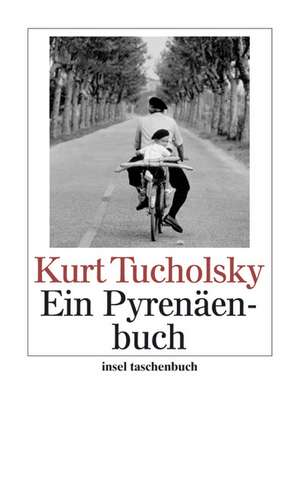 Ein Pyrenäenbuch de Kurt Tucholsky