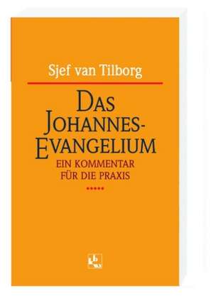 Das Johannes-Evangelium de Sjef van Tilborg