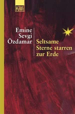 Seltsame Sterne starren zur Erde de Emine Sevgi Özdamar