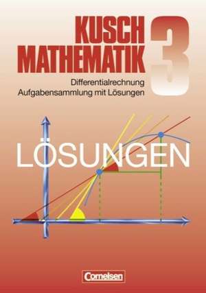 Mathematik. Lösungsbuch zu Teil 3: Differentialrechnung de Heinz Jung