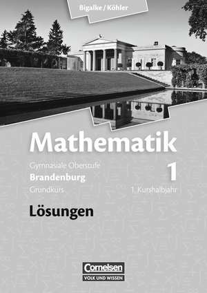 Mathematik Sekundarstufe II Band 01: 1. Kurshalbjahr/Grundkurs. Qualifikationsphase. Lösungen zum Schülerbuch Brandenburg de Anton Bigalke