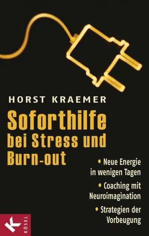 Soforthilfe bei Stress und Burn-out de Horst Kraemer