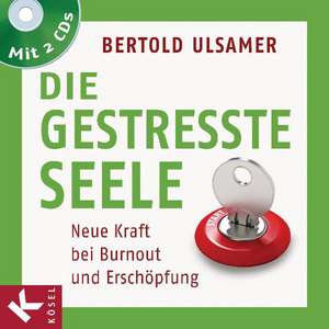 Die gestresste Seele de Bertold Ulsamer