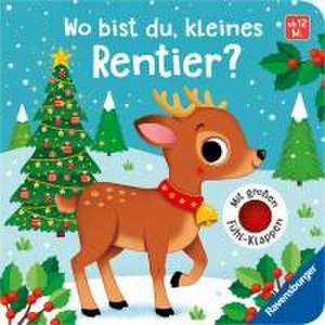 Wo bist du, kleines Rentier? de Meike Theda